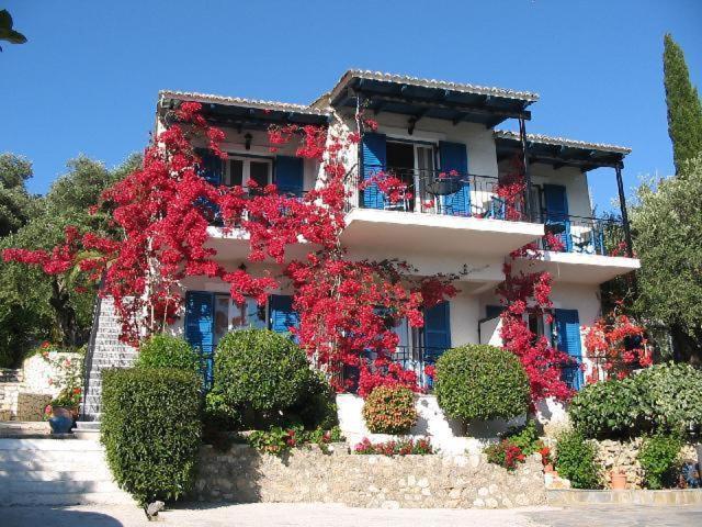 פאלאוקסטריצה Villa Fiorita מראה חיצוני תמונה
