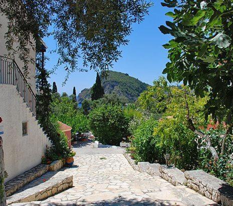פאלאוקסטריצה Villa Fiorita מראה חיצוני תמונה